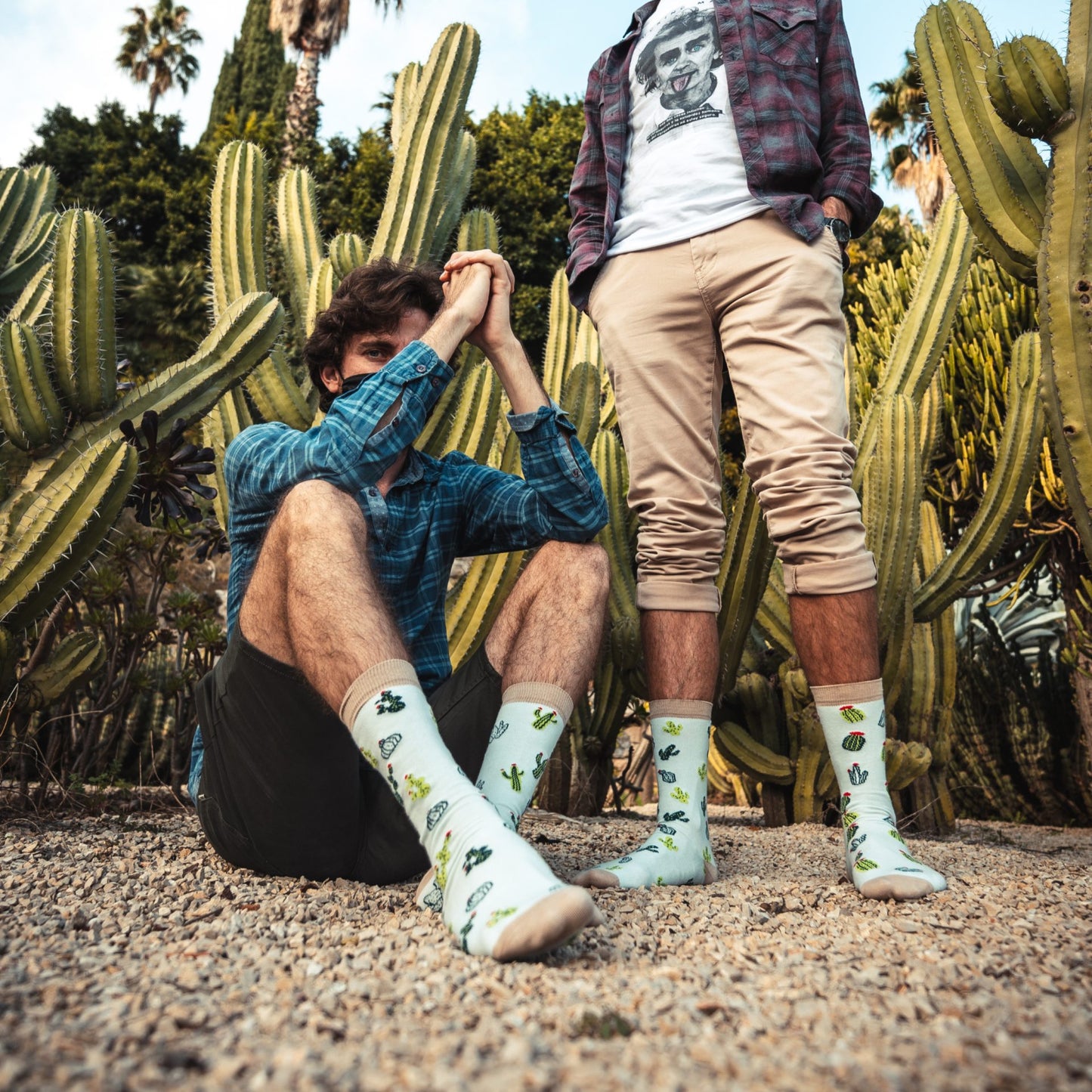 calcetines - cactus divertidos