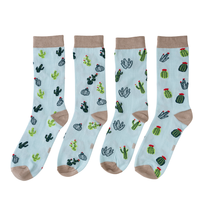 Calcetines Cactus
